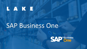 LAKE SAP Business One