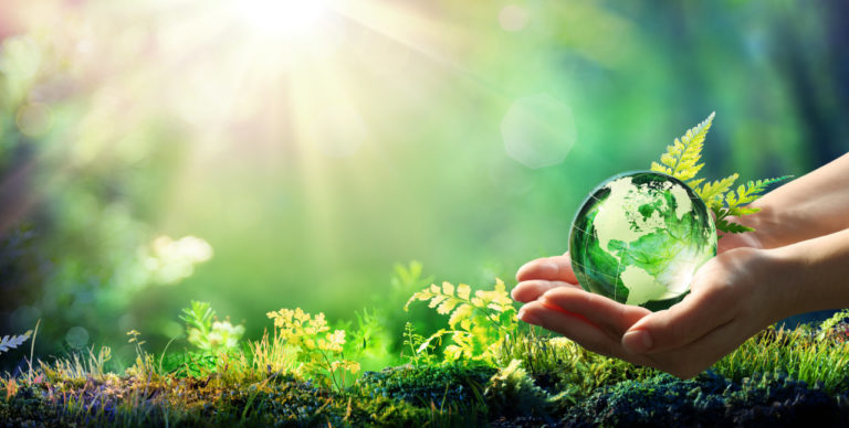 How can Analytics make your business more sustainable?