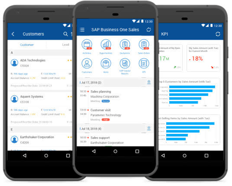 SAP Mobile App