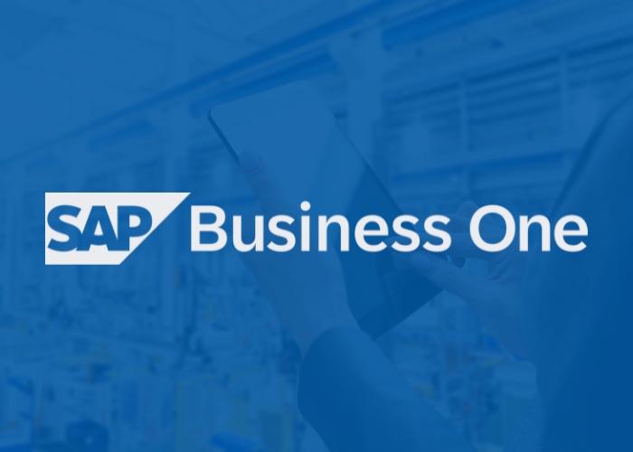 SAP Business One grey scale logo
